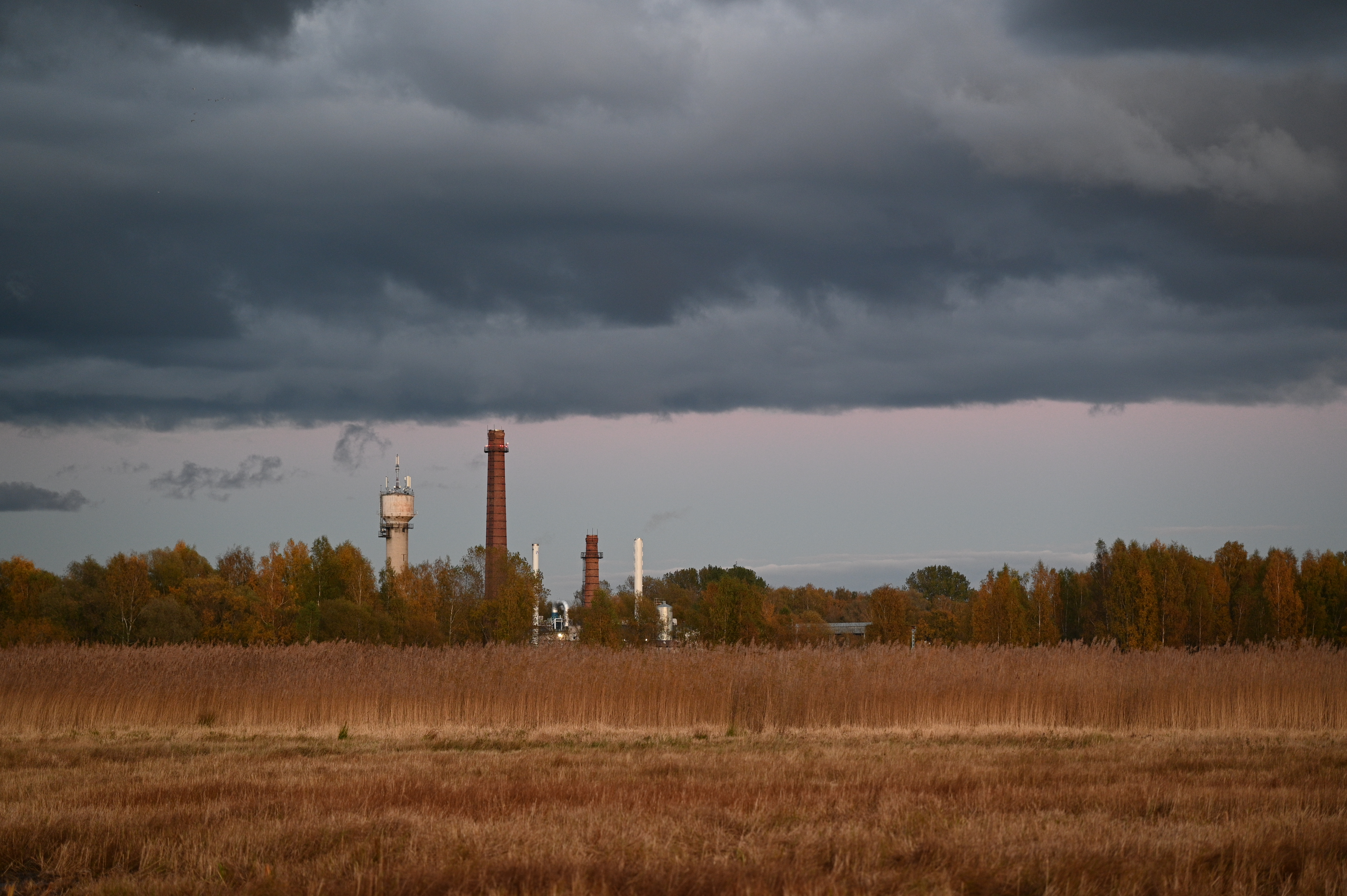 2025/10/18 - walk/DSC_0563.JPG